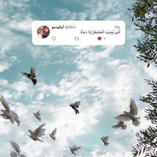 Telegram profile photo for جُمِأُلَأُ يْوِسًفّيْأُ🜝