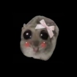 Telegram profile photo for twinklya