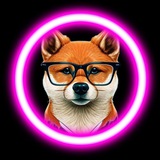 Telegram profile photo for AnimeX FLOKI CEO Announcement