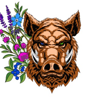 Telegram profile photo for Boarlord LLC