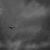 Telegram profile photo for خصوصی من