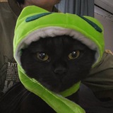 Telegram profile photo for ЖаБа Мать