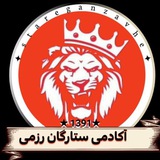 Telegram profile photo for ستارگان رزمی