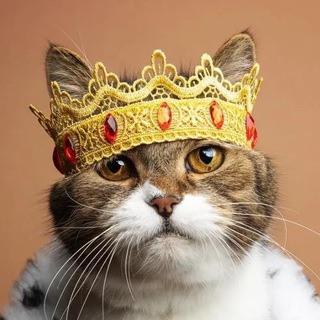 Telegram profile photo for наглые морды