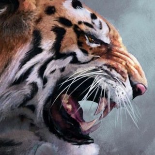 Telegram profile photo for Хищник
