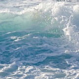 Telegram profile photo for SP1V🌊₃₃