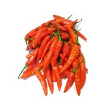 Telegram profile photo for CABE RAWIT