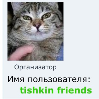Telegram profile photo for Тишкин kupivsp