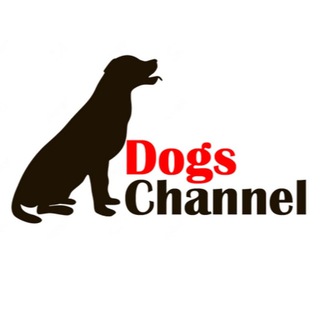 Telegram profile photo for Dogs Channel