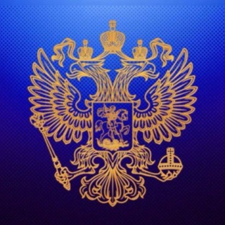Telegram profile photo for Полиция Советская Гавань