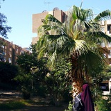 Telegram profile photo for 🌴Там ,где пальмы🌴