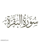 Telegram profile photo for ختمة سورة البقرة أسبوعيًا🌿🤍