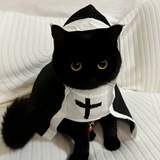 Telegram profile photo for 兔几的猫窝