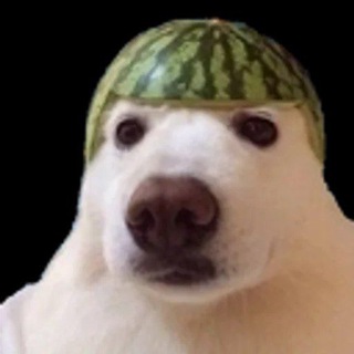Telegram profile photo for Meme Bros