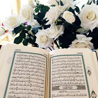 Telegram profile photo for Hifdh al Qur'an 🌿 حفظ القرآن