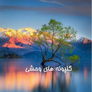 Telegram profile photo for گلپونه های وحشی