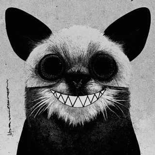 Telegram profile photo for Теорія срунььь 19+