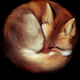 Telegram profile photo for it was My House