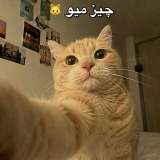 Telegram profile photo for چیزمیو...😎