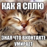 Telegram profile photo for катя сосиска продает картинки и все такое
