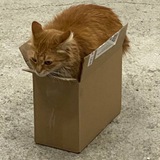 Telegram profile photo for Коробка?