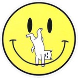 Telegram profile photo for AfterParty