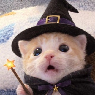 Telegram profile photo for Відьма 🧙♀