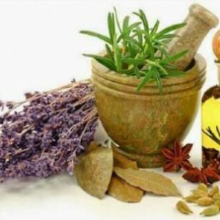 Telegram profile photo for PLANTAS MEDICINAIS