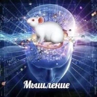 Telegram profile photo for МыШление