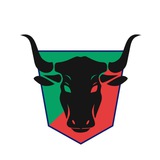 Telegram profile photo for ЧЕСТНЫЕ СИГНАЛЫ
