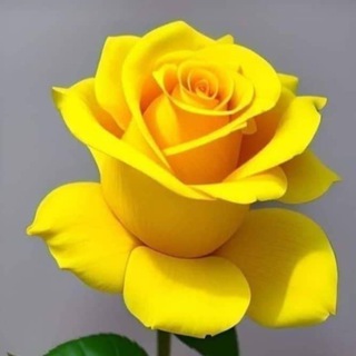 Telegram profile photo for نامه های عاشقانه