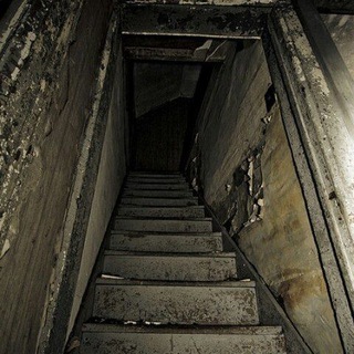Telegram profile photo for Basement❗️