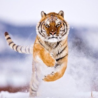 Telegram group profile photo for Знакомства Сатка