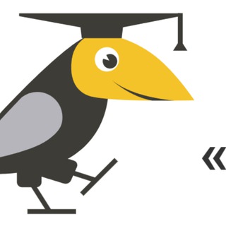Telegram profile photo for Приём 2025. Школа "Интеллектуал"