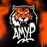 Telegram profile photo for Хабаровский глАмурЪ.