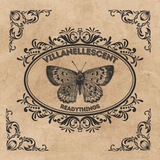 Telegram profile photo for {❦} O'Readythings
