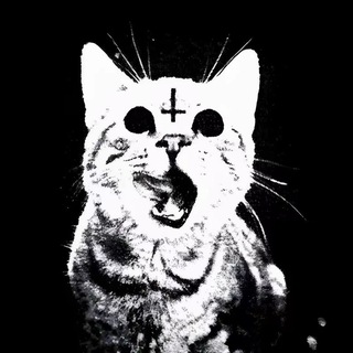 Telegram profile photo for haqqq.