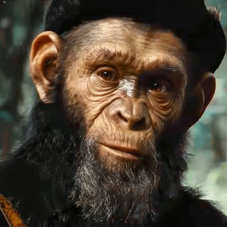 Telegram profile photo for Noastradamus