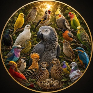 Telegram profile photo for Наманган ёввойи кушлари