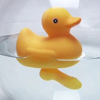 Telegram profile photo for Penises and cocks