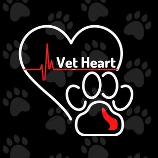 Telegram profile photo for Vet Heart🩺