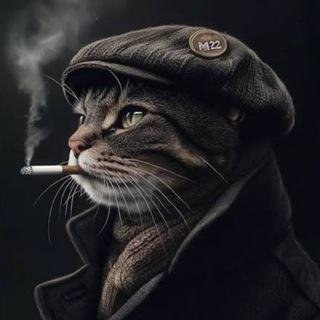 Telegram profile photo for کاریابی morvarid
