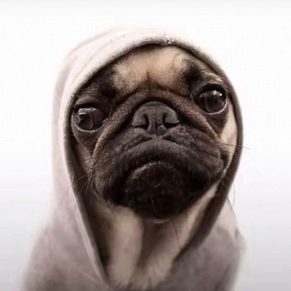Telegram profile photo for авб лятча
