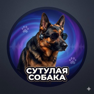 Telegram profile photo for Сутулая_собака