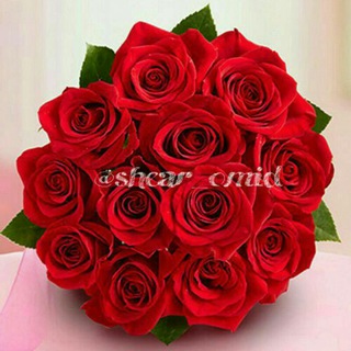 Telegram profile photo for شعر امید