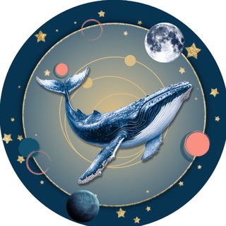 Telegram profile photo for КИТЫ ЛИЧНОСТИ