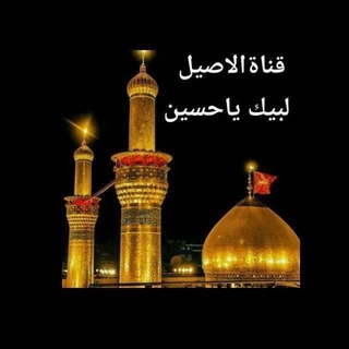 Telegram profile photo for قناة الاصيل المهنيه