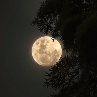 Telegram profile photo for نقطة بداية