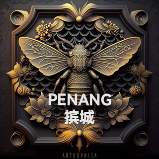 Telegram profile photo for Baby Es Penang 槟城