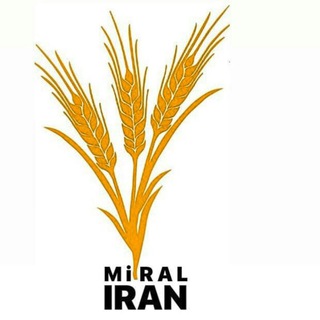 Telegram profile photo for شیشه خودروهای کلاسیک